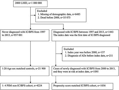 Risk of Autoimmune Diseases in Patients With Interstitial Cystitis/Bladder Pain Syndrome: A Nationwide Population-Based Study in Taiwan